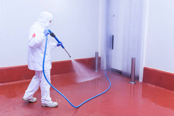 Best Boat and Dock Cleaning  in Bethlehem Village, CT